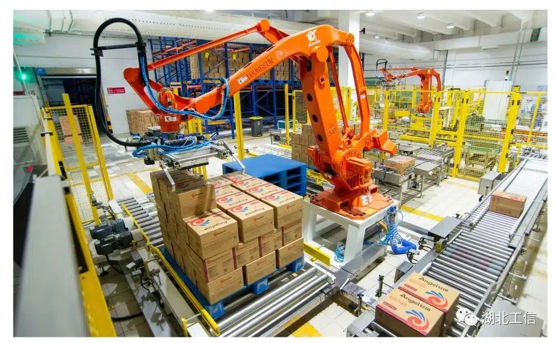 Food Industry Palletizing Robot